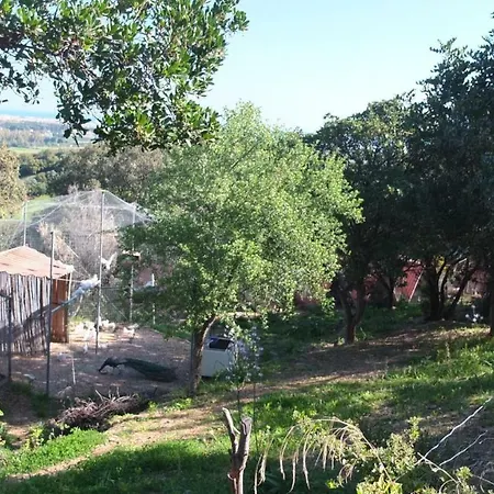 Cucinino, Bagno, Ingresso Indipendente In