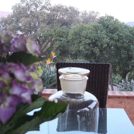 Bed & Breakfast Cucinino, Bagno, Ingresso Indipendente In
