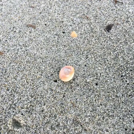 Vista Mare, Ingresso Indipendente In