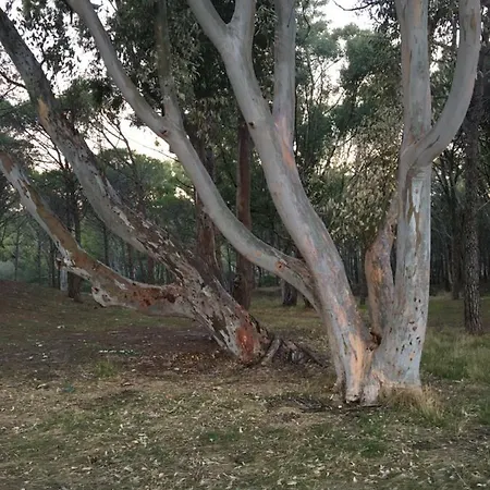 Vista Mare, Ingresso Indipendente In Vìvì 3* Siniscola
