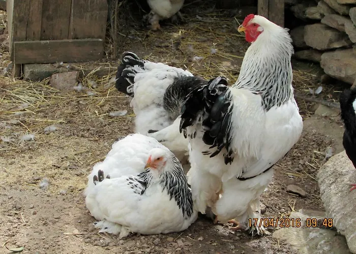 Vista Mare, Ingresso Indipendente In