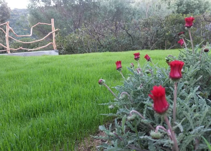 Vista Mare, Ingresso Indipendente In