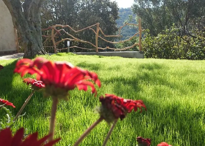 Panzió Vista Mare, Ingresso Indipendente In