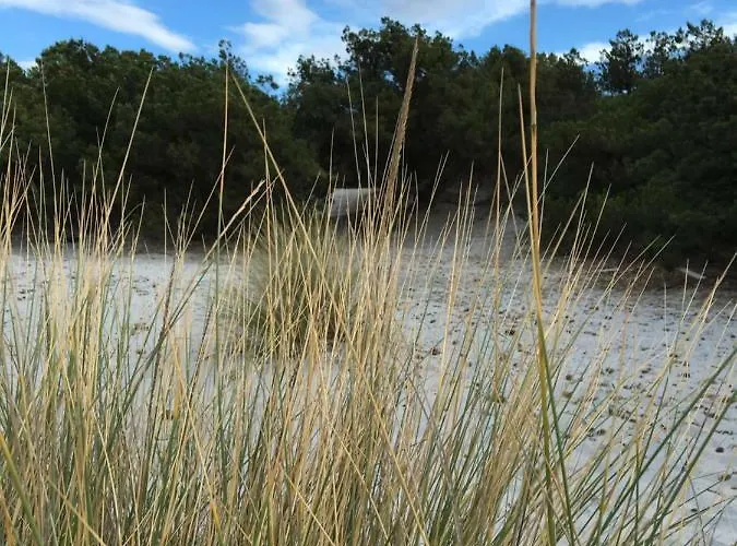 Vista Mare, Ingresso Indipendente In