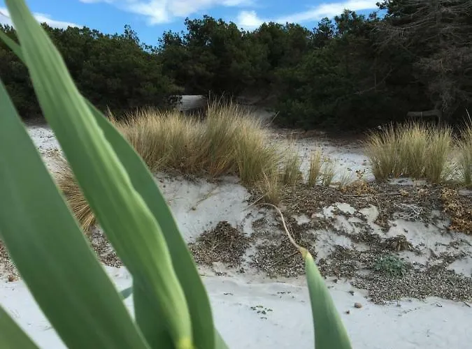 Vista Mare, Ingresso Indipendente In