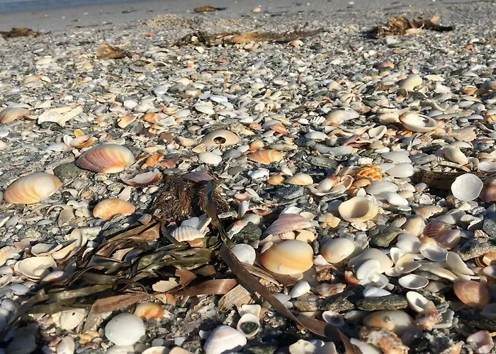 Vista Mare, Ingresso Indipendente In