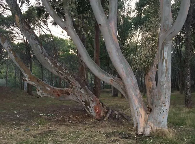 Vista Mare, Ingresso Indipendente In